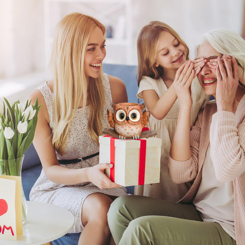 Saysmile Swing Owl planter makes a charming gift for plant lovers