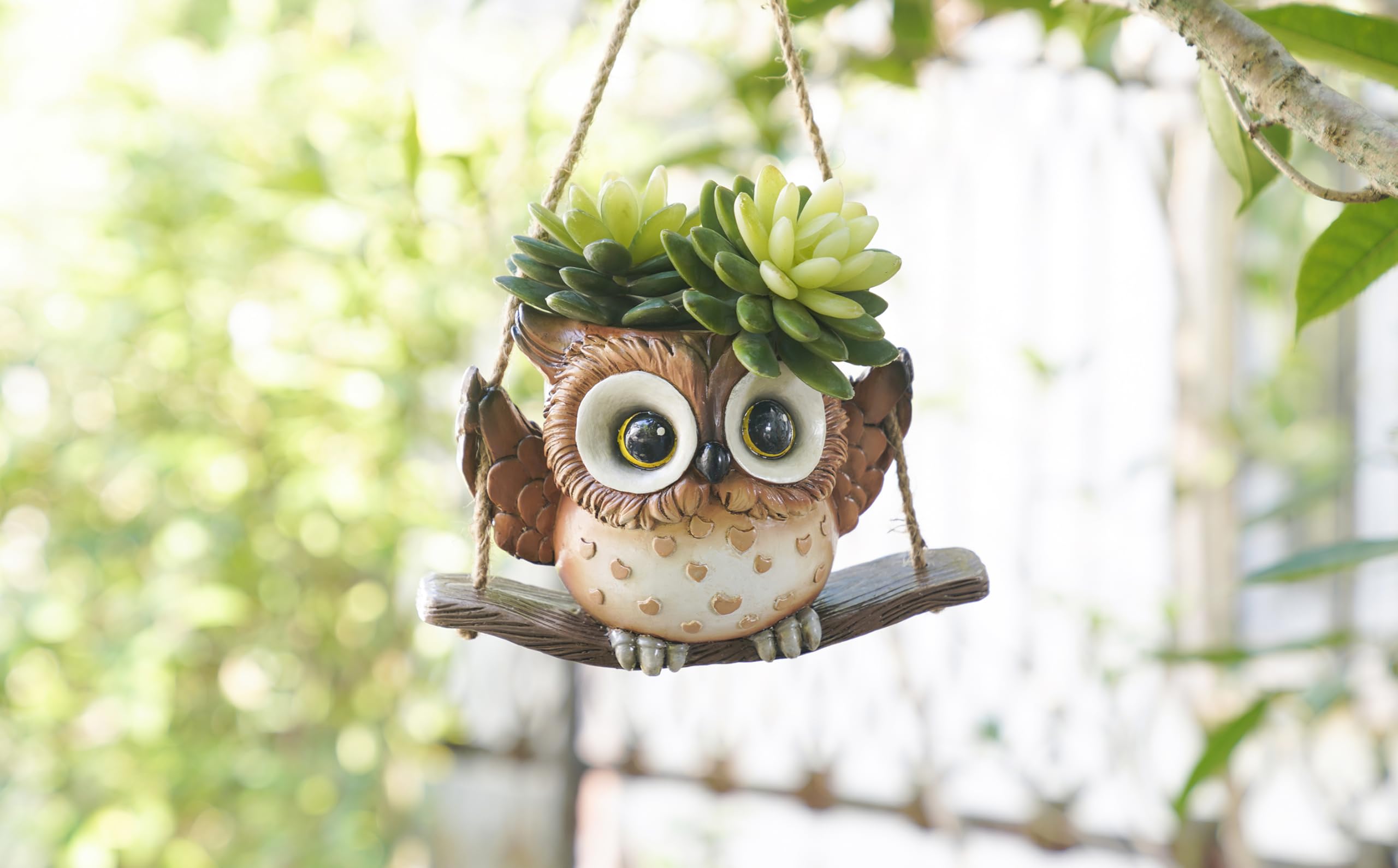 Saysmile Swing Owl planter is perfect for small succulents