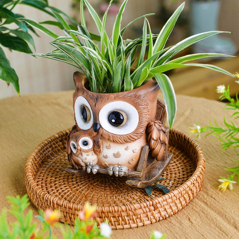 Saysmile unique owl planter placed on a desk for compact indoor use
