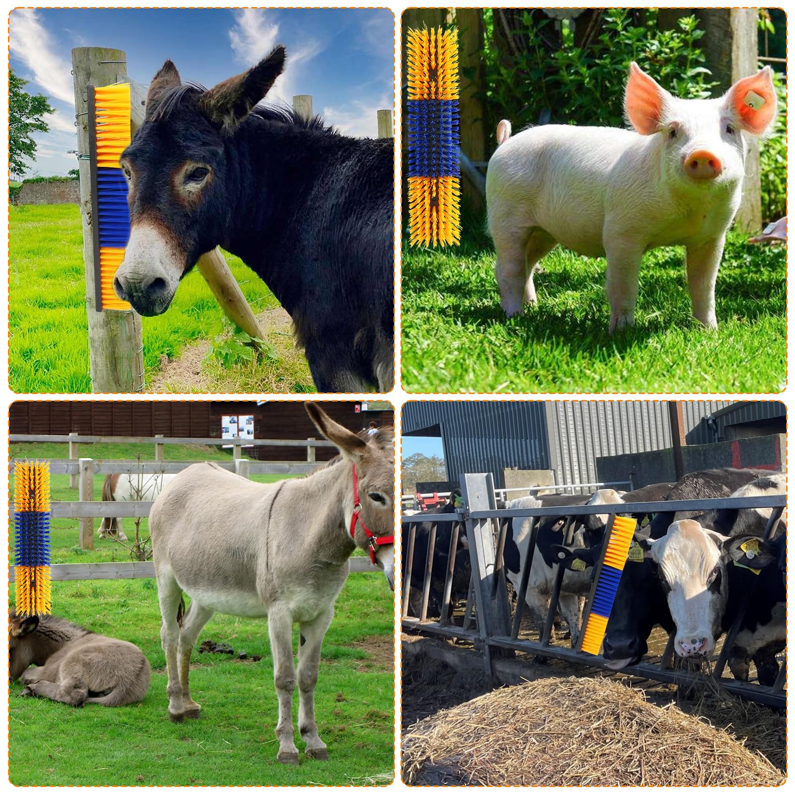 Sayutie grooming tool in action for animal massage and grooming across livestock.