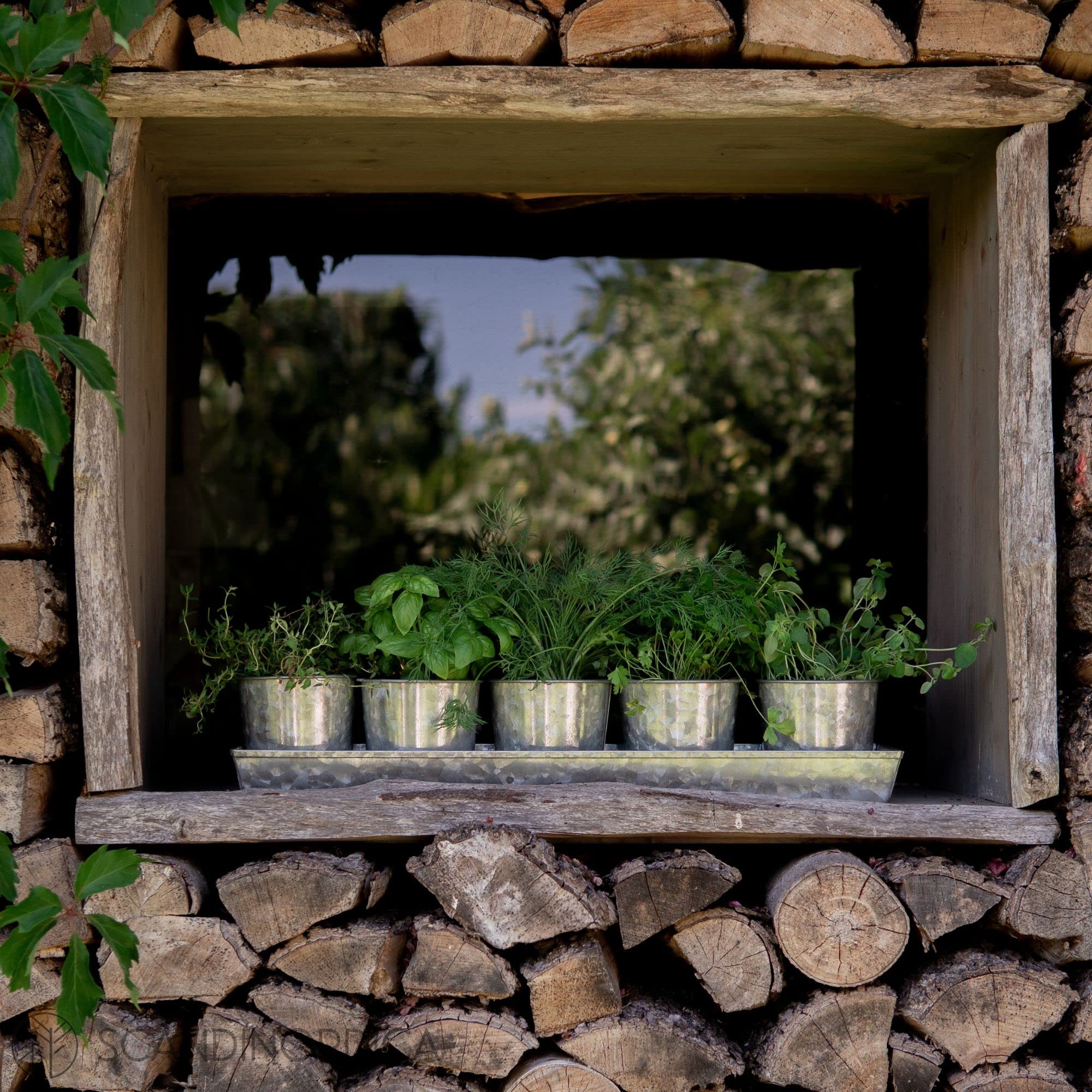 SCANDINORDICA indoor outdoor planter on deck demonstrates versatile placement