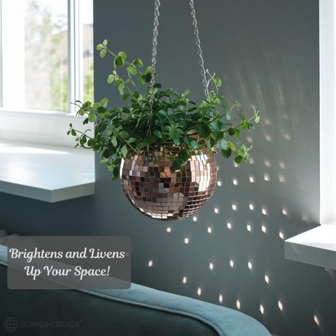 SCANDINORDICA Disco Ball Planter acrylic-stand enables stable tabletop display.