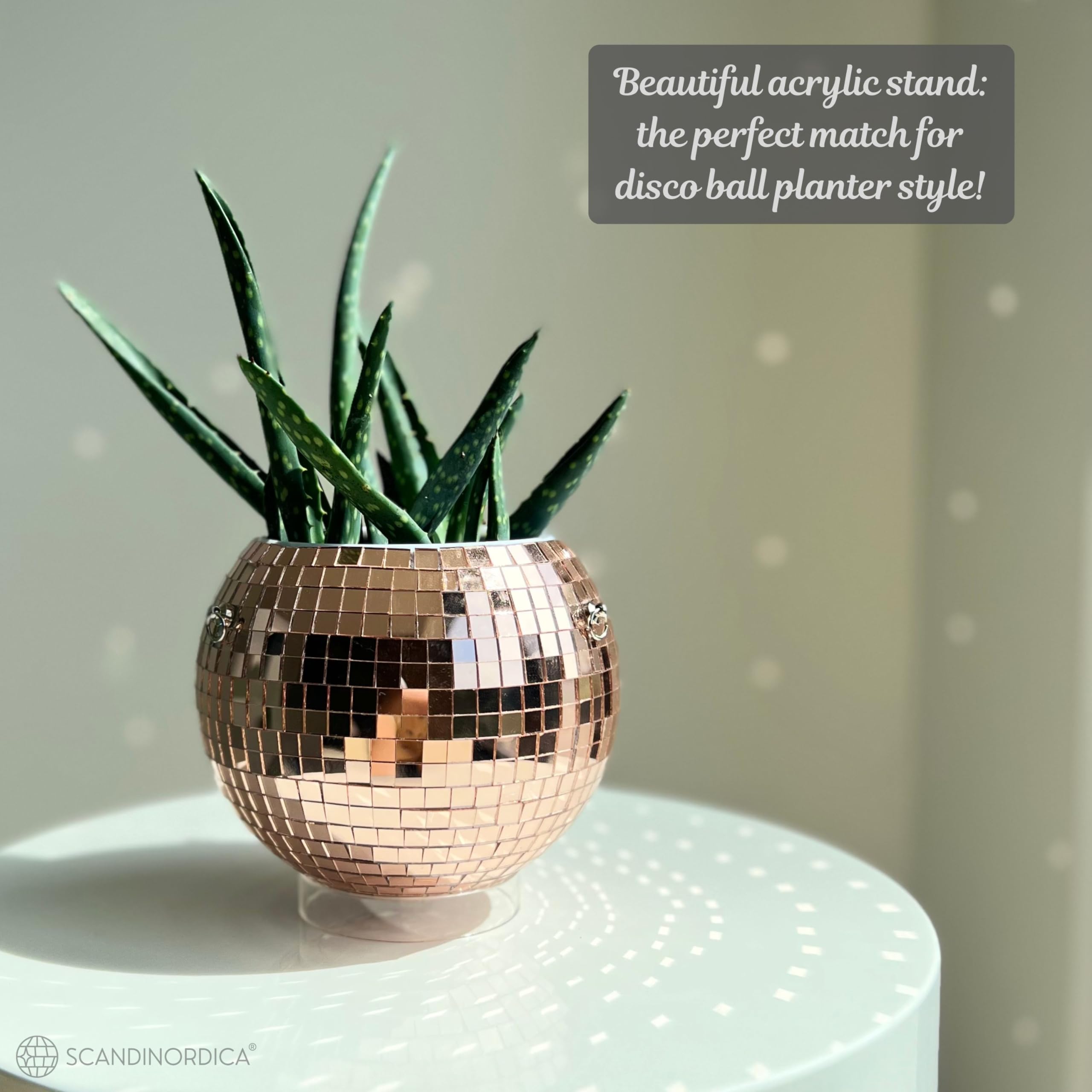 SCANDINORDICA Disco Ball Planter desk display ready for desktop decor.