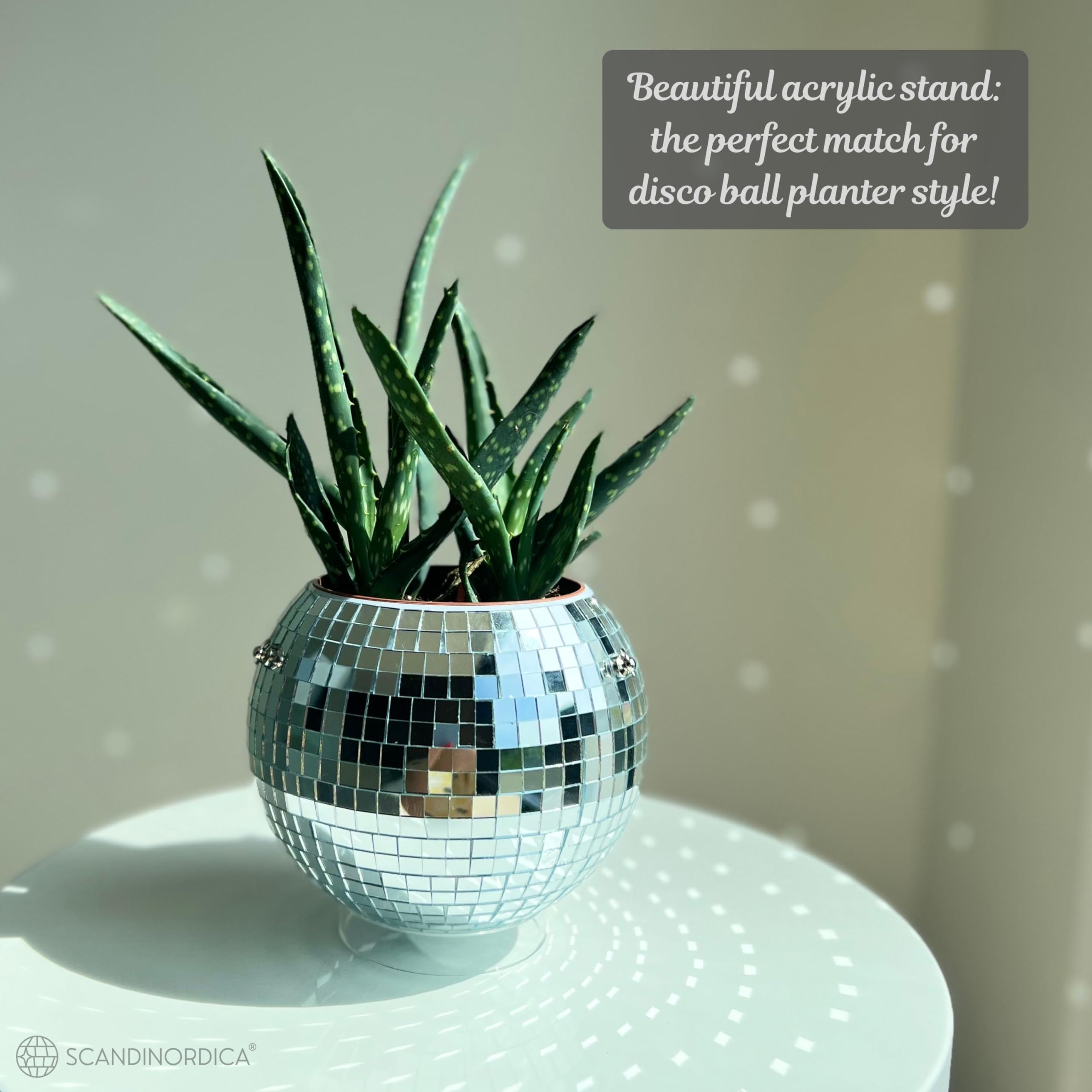 SCANDINORDICA Gift-ready packaging emphasizes a thoughtful present for plant lovers.