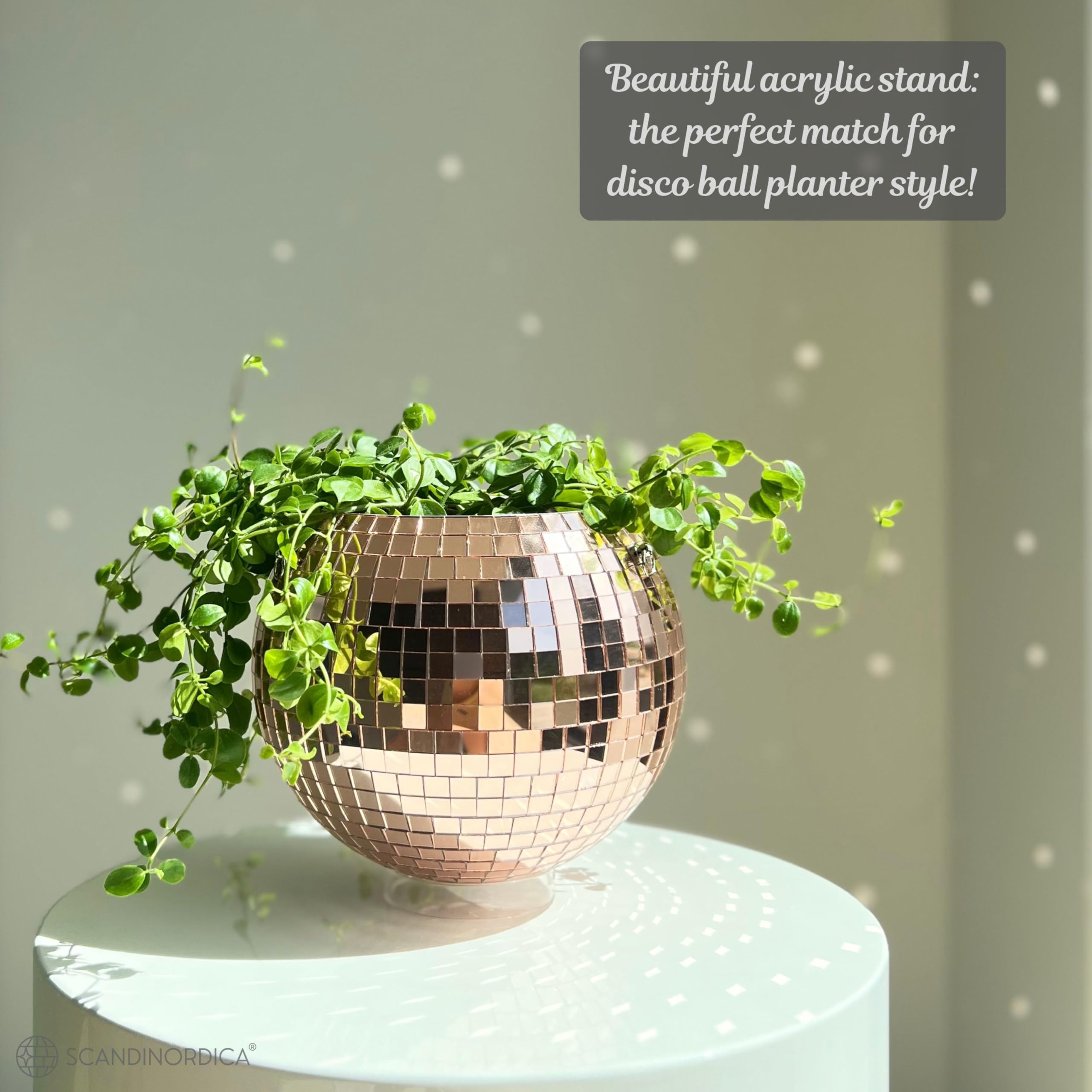 SCANDINORDICA Disco Ball Planter packaging-ready gift set for plant lovers.