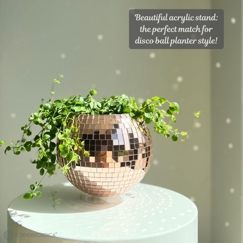 SCANDINORDICA Disco Ball Planter packaging-ready gift set for plant lovers.