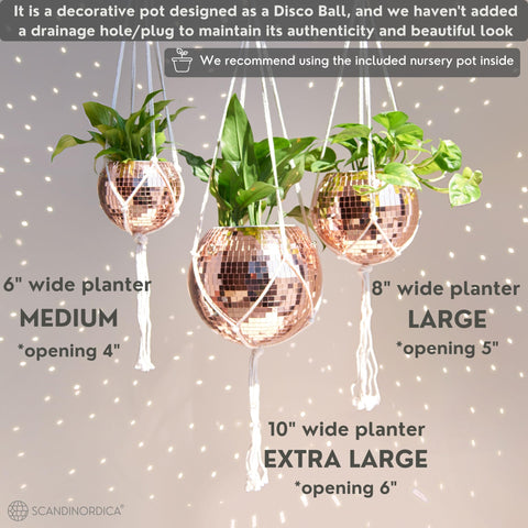 SCANDINORDICA Disco Ball Planter self-watering-insert supports easy plant care.