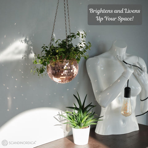 SCANDINORDICA Disco Ball Planter Self-Watering Insert keeps plants hydrated.