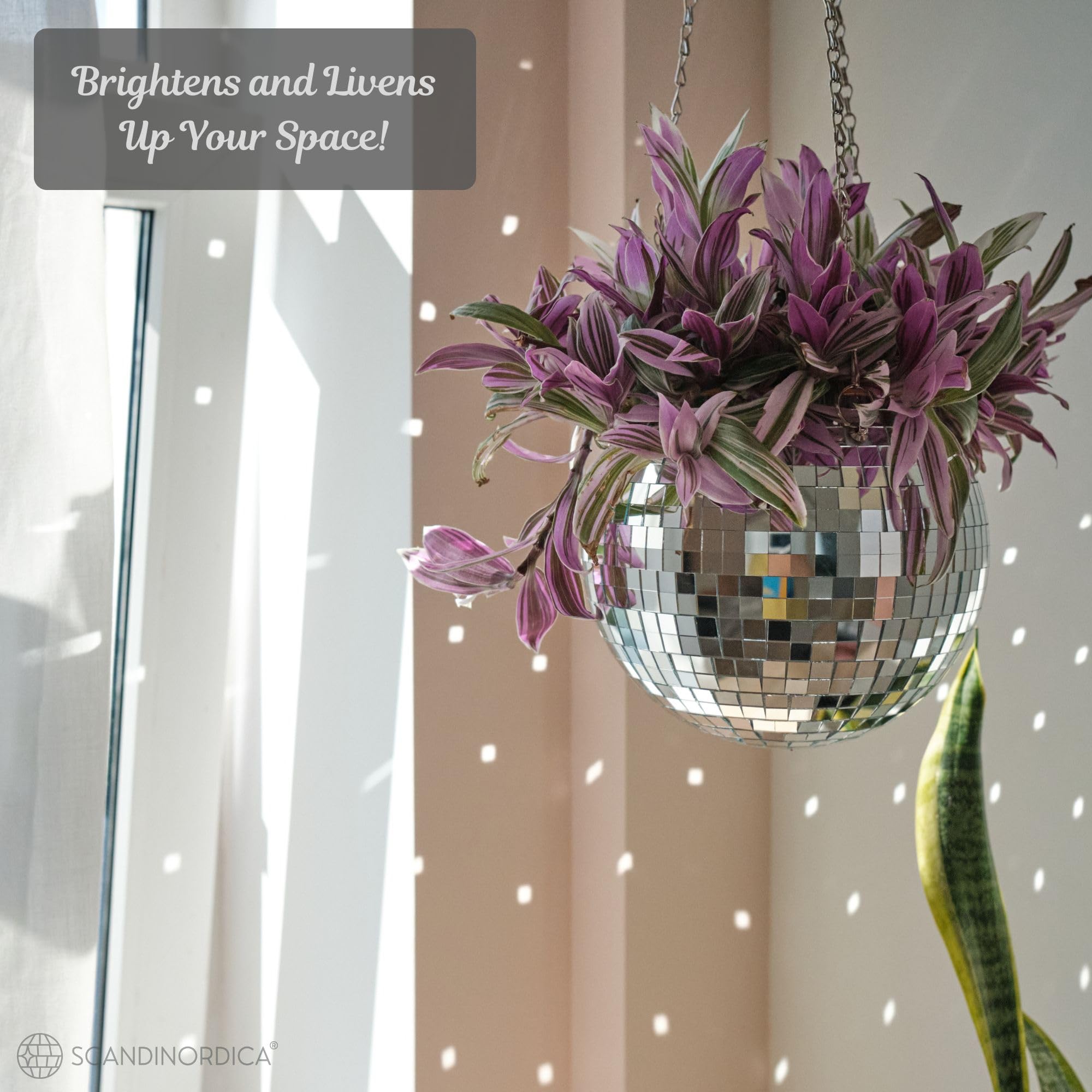 SCANDINORDICA disco ball planter self watering insert helps easy care