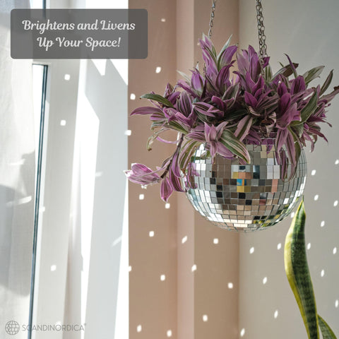 SCANDINORDICA disco ball planter self watering insert helps easy care