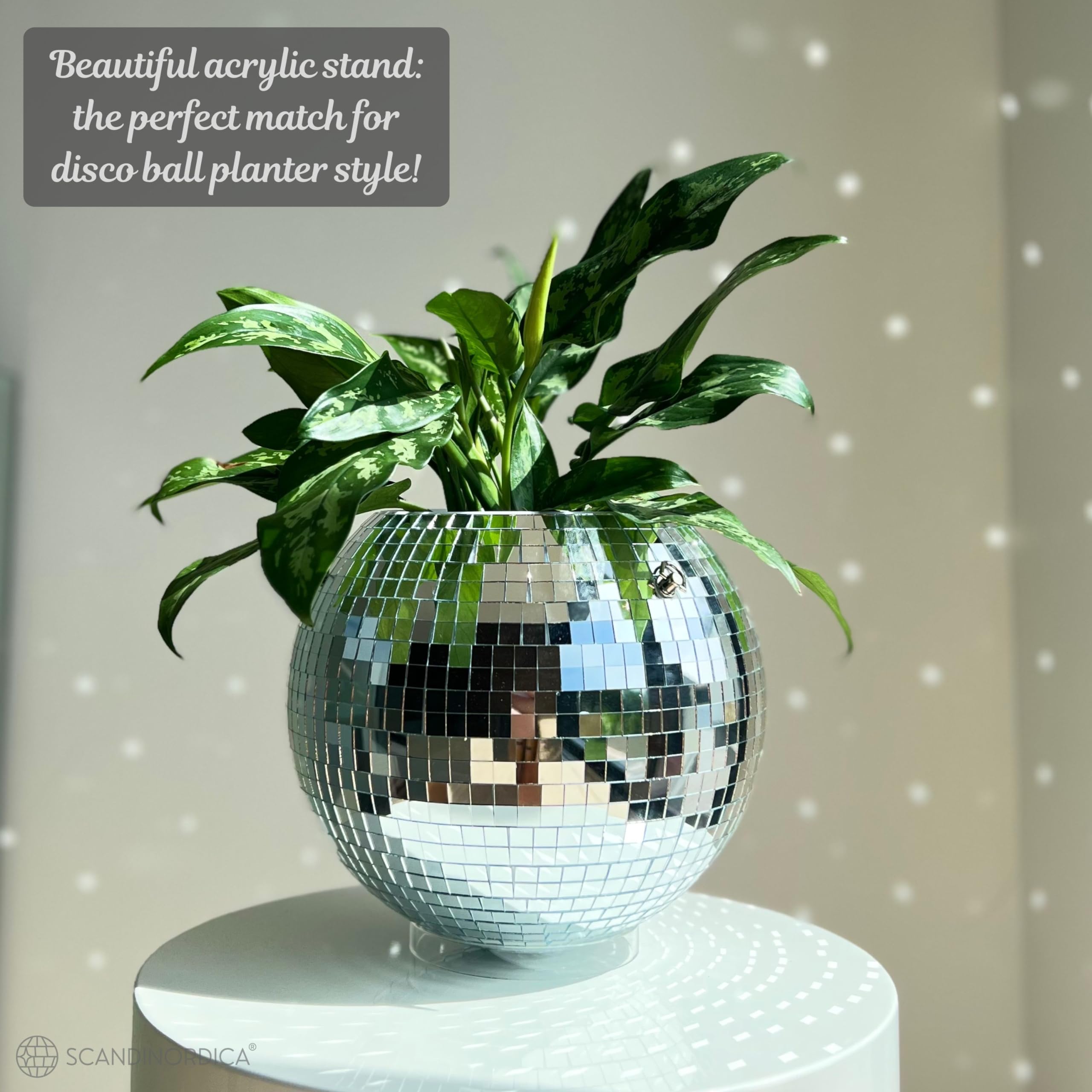 SCANDINORDICA Planter suits small plants beautifully, from succulents to herbs
