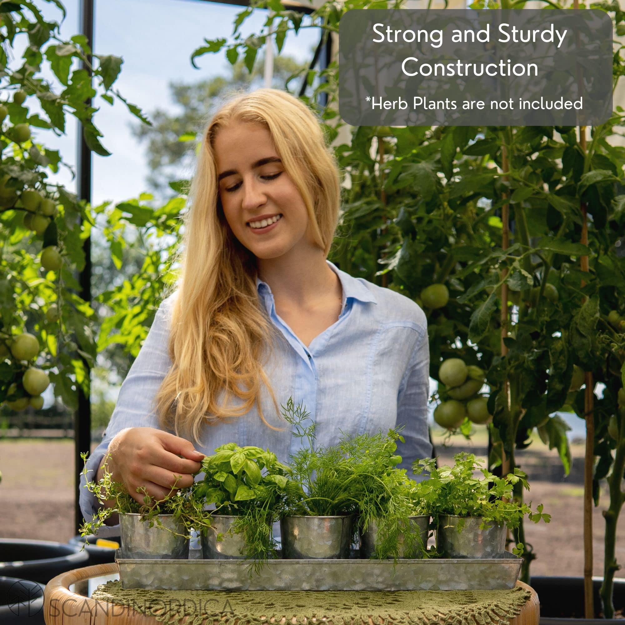 SCANDINORDICA durable galvanized steel construction for indoor or outdoor use
