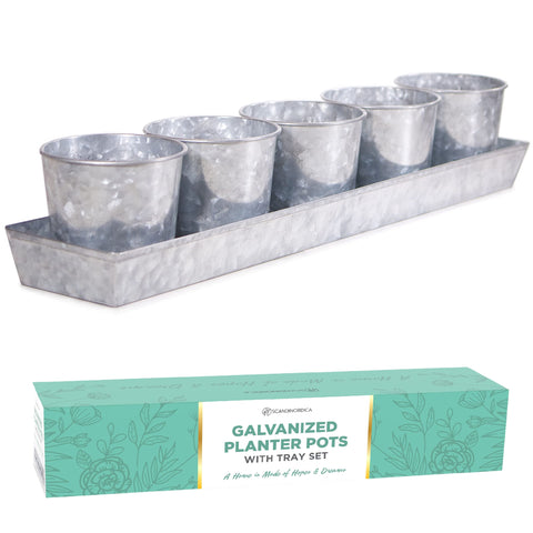 SCANDINORDICA galvanized herb planters grouped on kitchen windowsill for fresh herbs