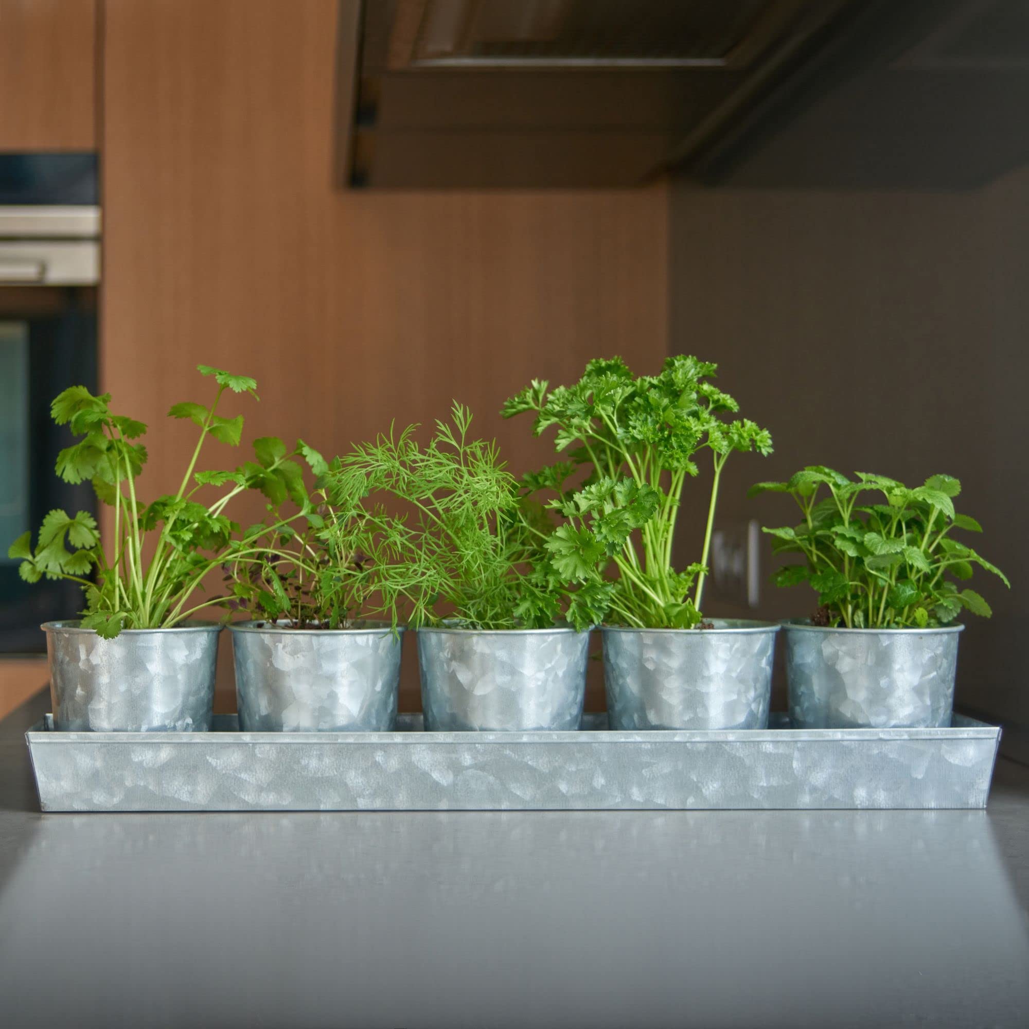 SCANDINORDICA gift-ready planter set for plant lovers