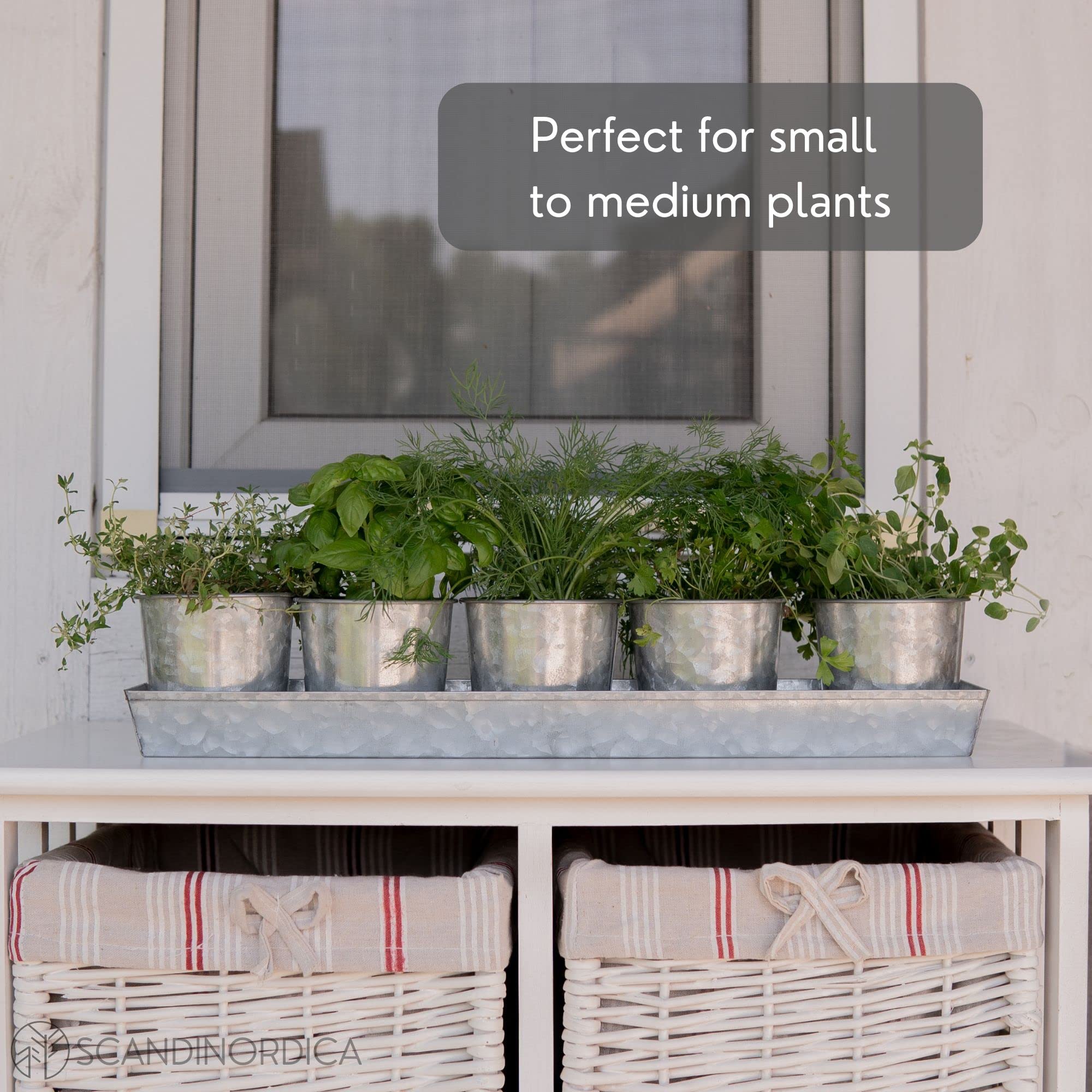 SCANDINORDICA compact herb garden tray is easy to move