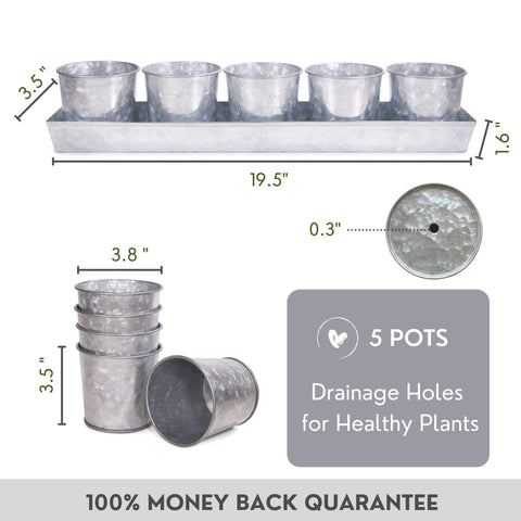 SCANDINORDICA window-sill tray with drainage holes supports healthy roots