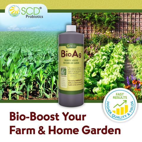 SCD BioAg root-zone application shown for targeted nutrient access