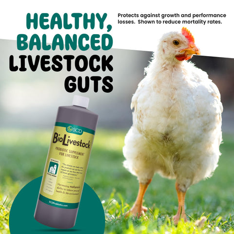 SCD Probiotics SCD Bio Livestock added to feed or water for multiple species use.