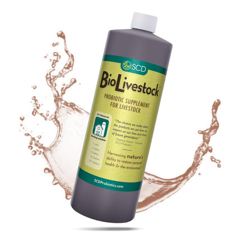 SCD Probiotics SCD Bio Livestock liquid bottle for easy administration and digestion support.