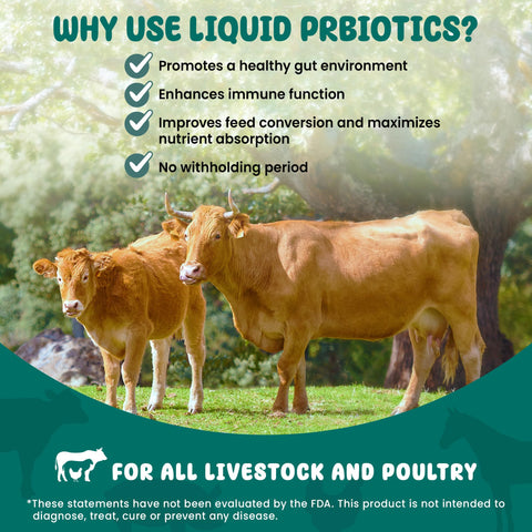 SCD Probiotics SCD Bio Livestock OMRI-listed organic use label signals compatibility.