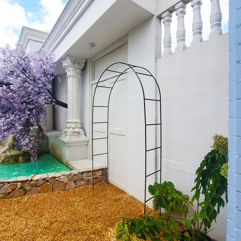 SCENDOR climbing plants support arch encourages vines to climb