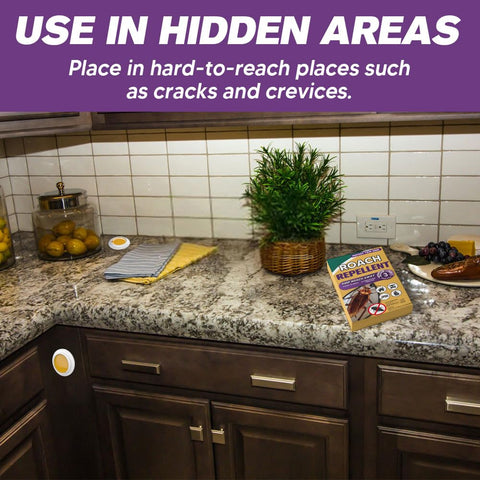 SCFKAOF Roach Repellent kitchen placement near pantry for safe use.