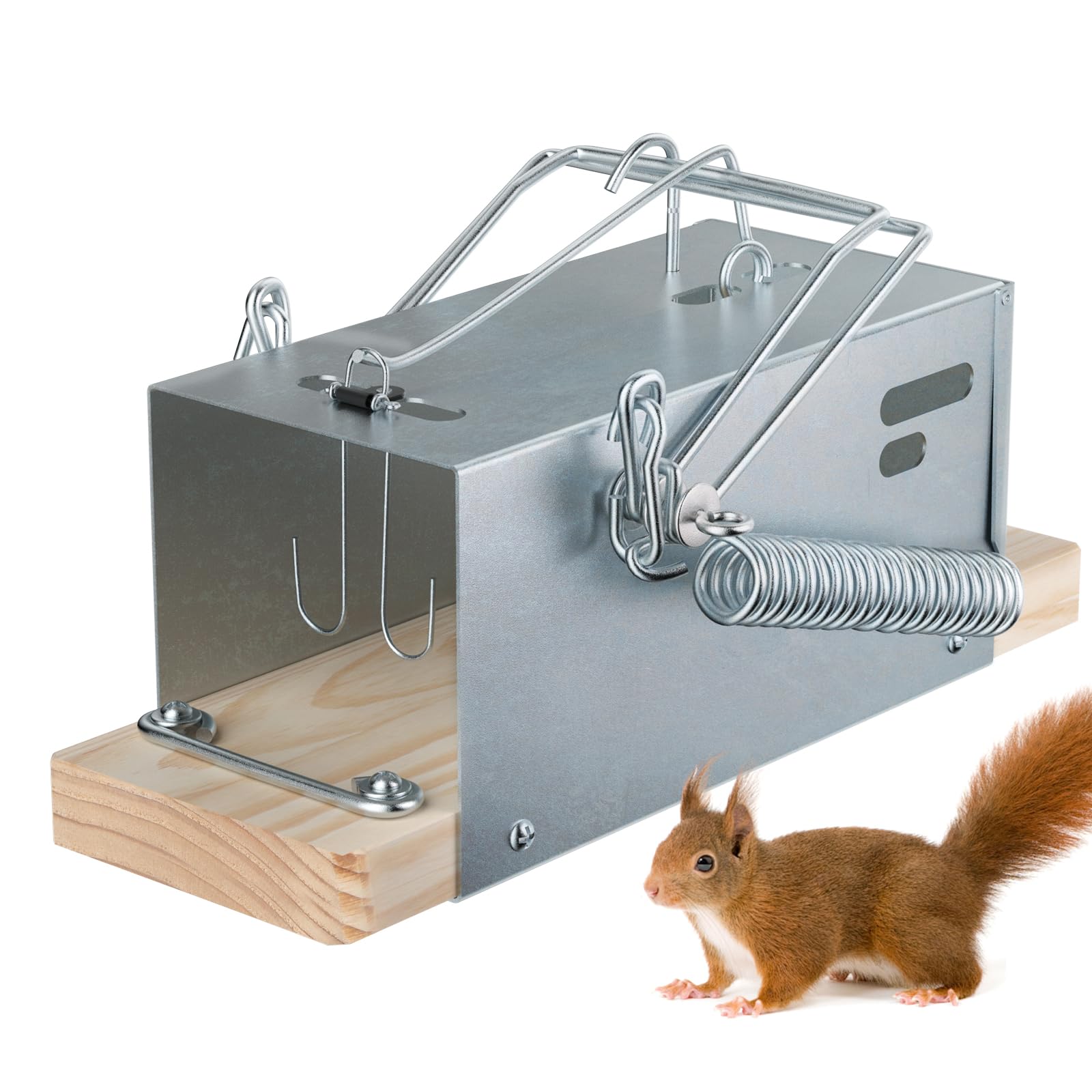 Schadro outdoor heavy-duty squirrel trap with durable galvanized steel frame for lasting use.
