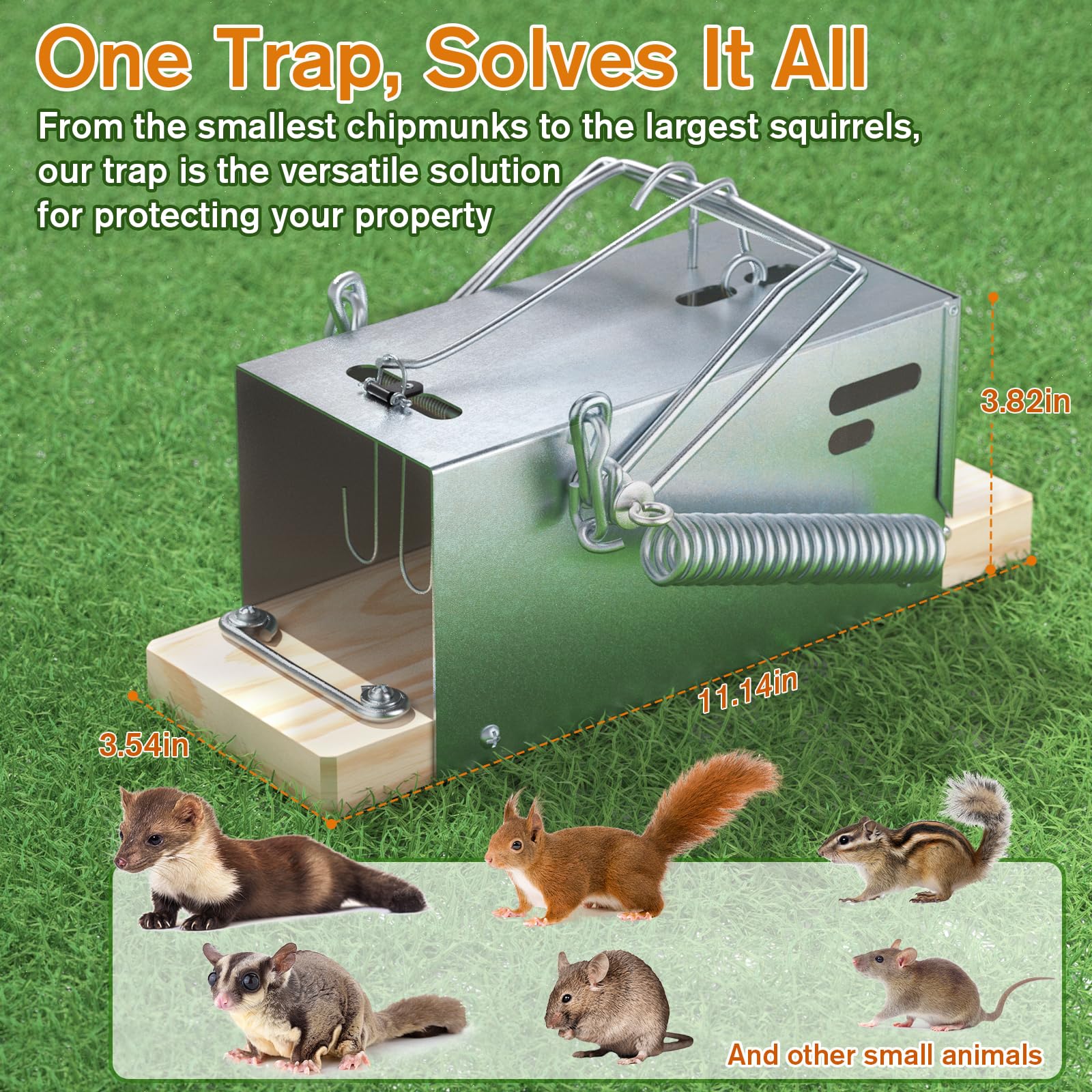 Schadro patio rodent trap protects outdoor spaces from squirrels and chipmunks.