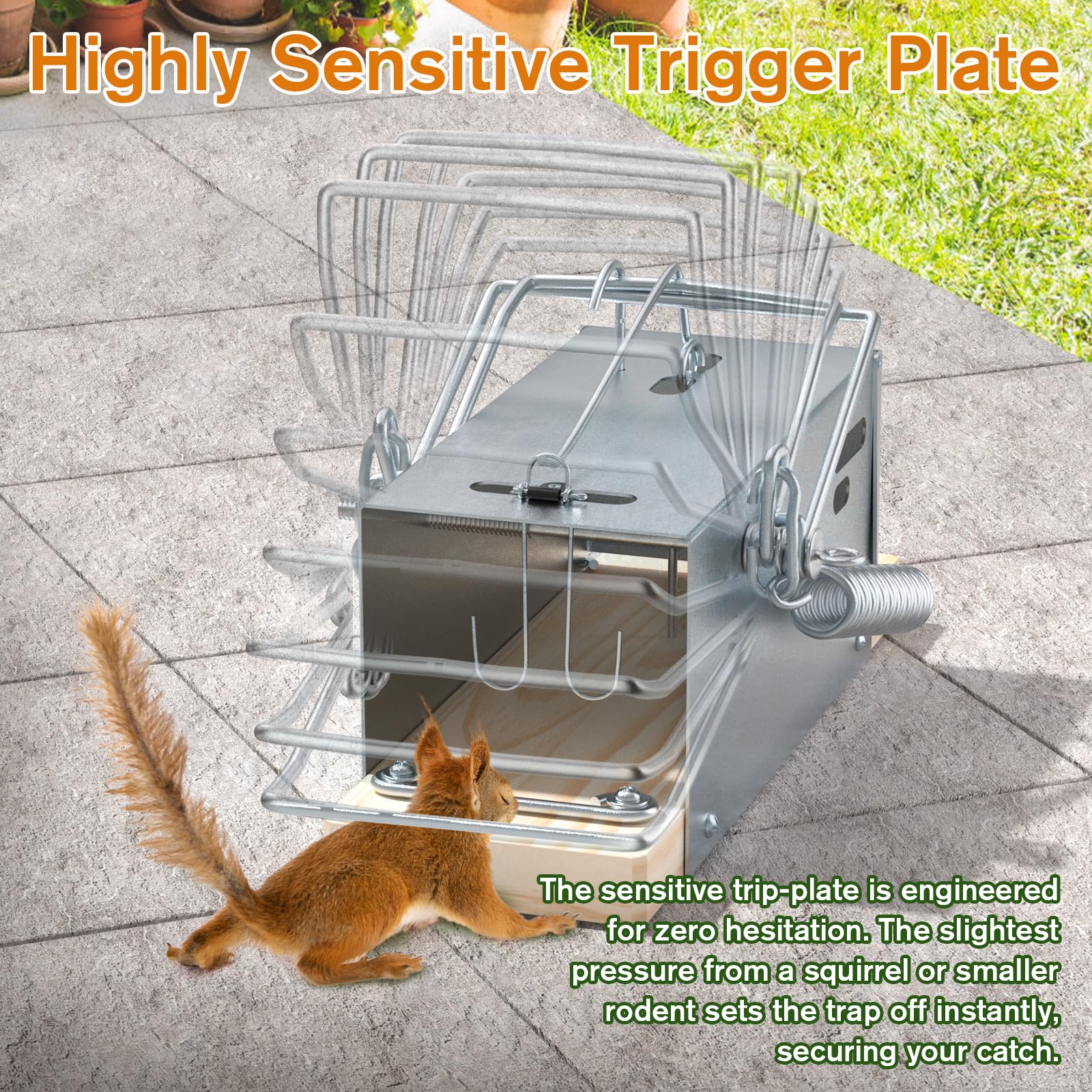 Schadro squirrel trap cedar base shows sturdy construction for outdoor use.