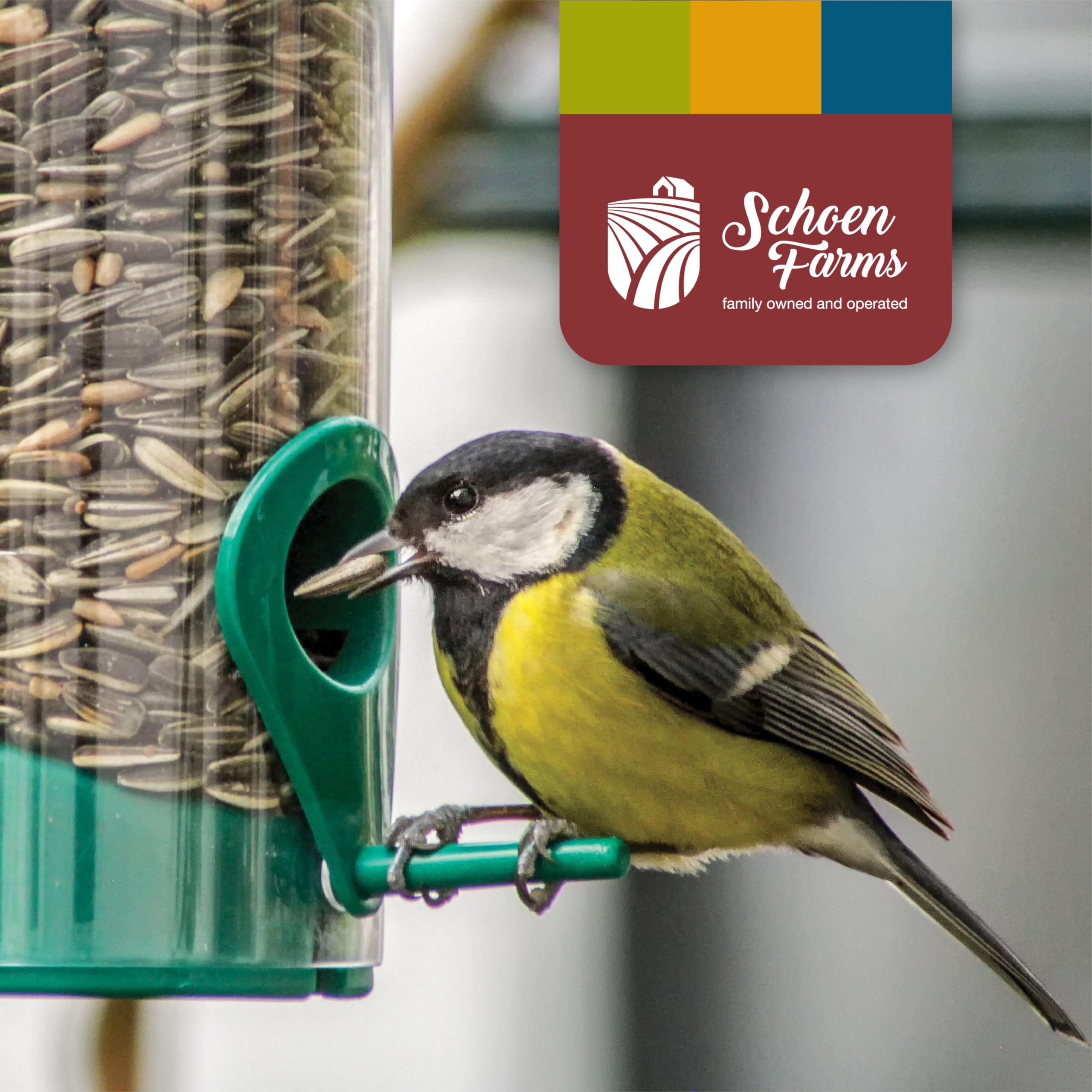 Schoen Farms bird seed for seed-loving birds attracts diverse species