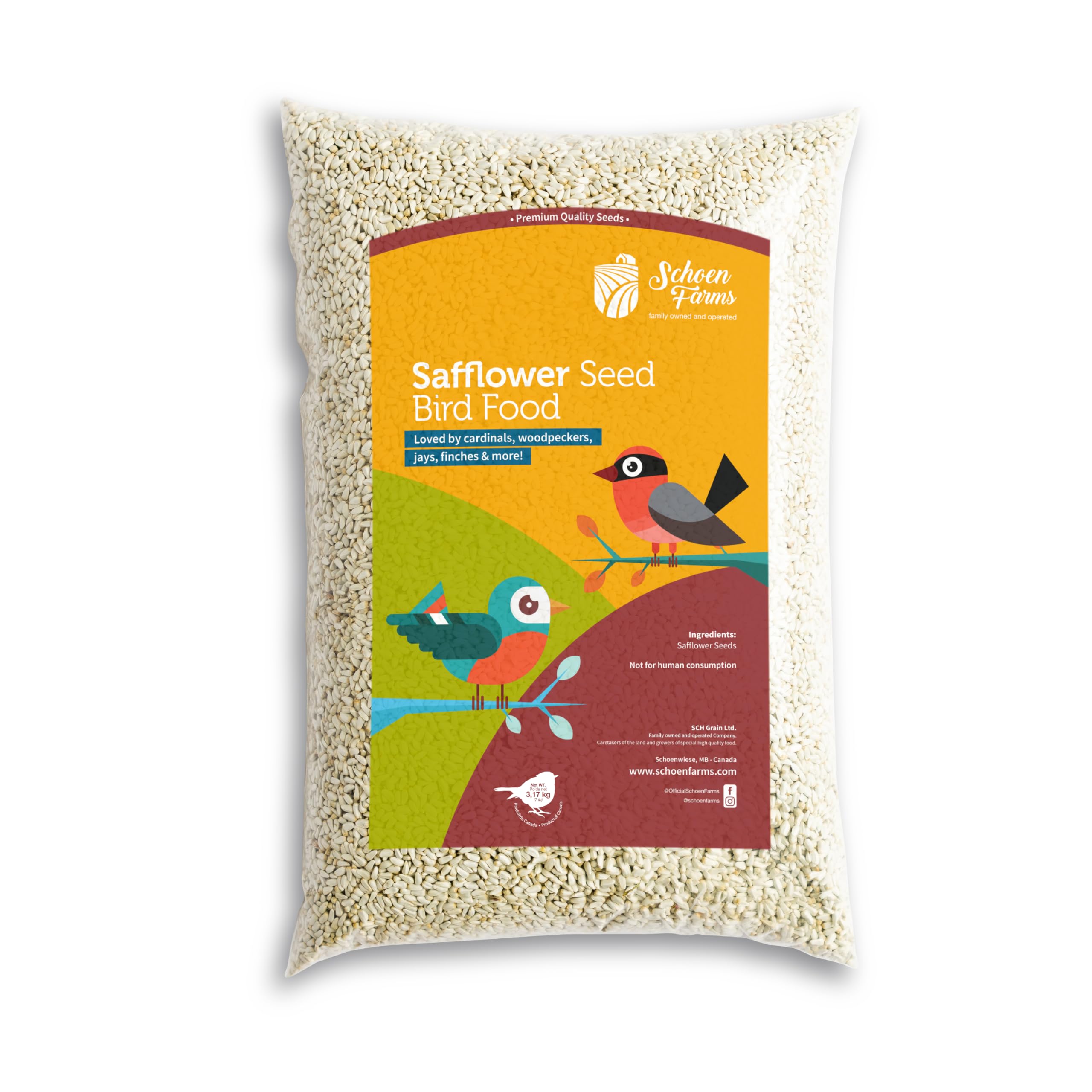 Schoen Farms Bright White Safflower Seeds attract cardinals with vibrant color and high-energy nutrition.