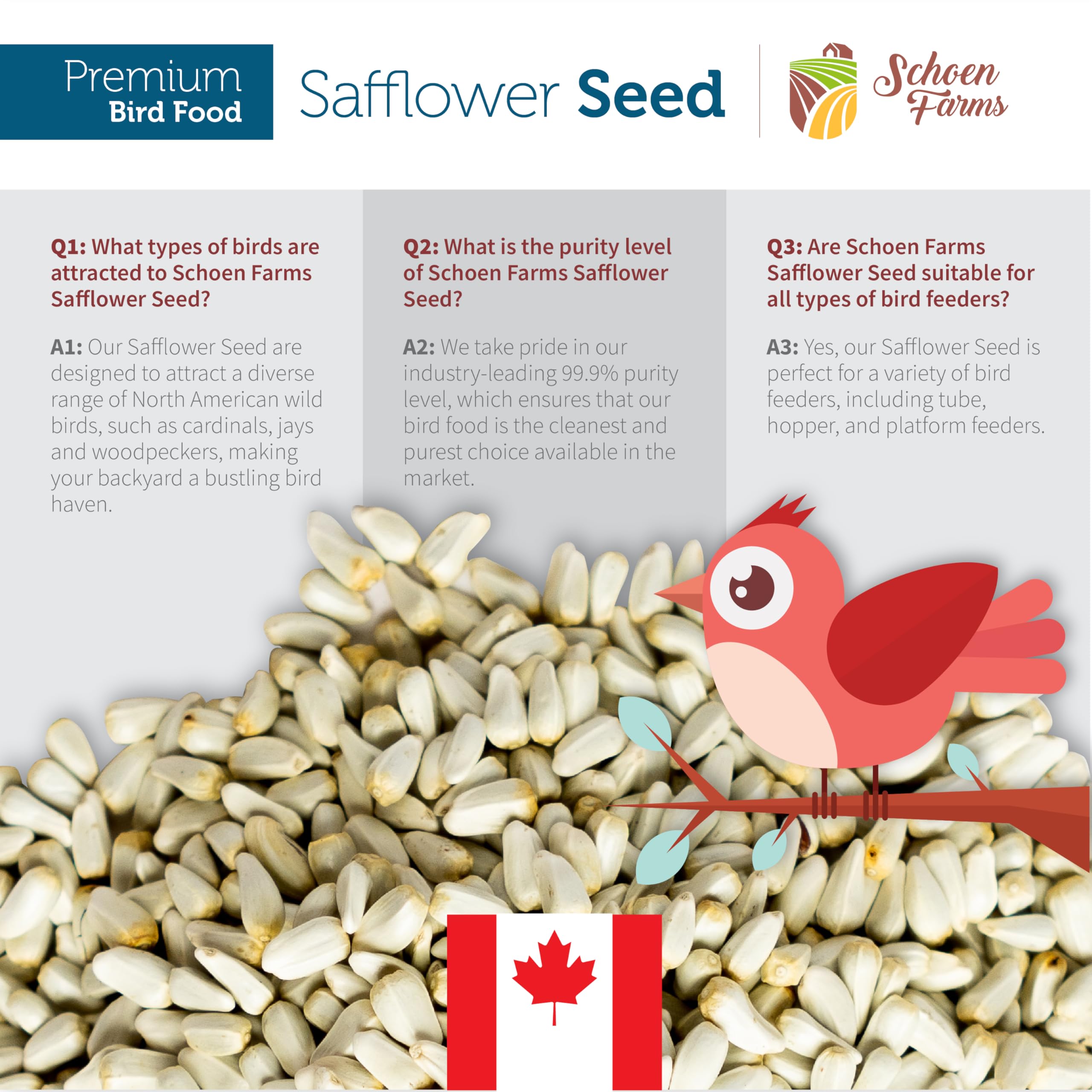 Schoen Farms Bright White Safflower Seeds compatible with various feeder types for easy backyard setups.