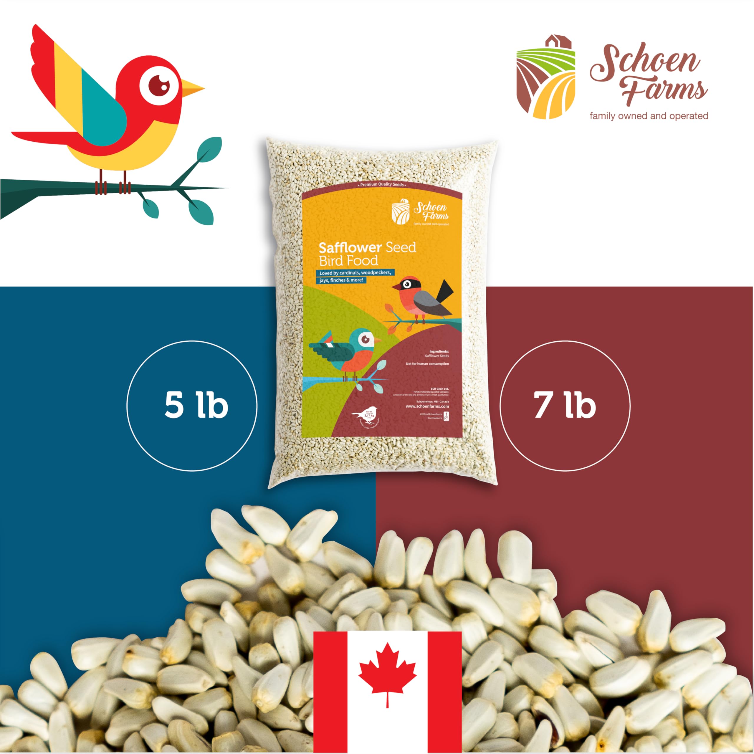 Schoen Farms Bright White Safflower Seeds suitable for ground feeding stations, ensuring wide accessibility.
