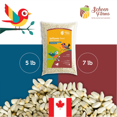Schoen Farms Bright White Safflower Seeds suitable for ground feeding stations, ensuring wide accessibility.