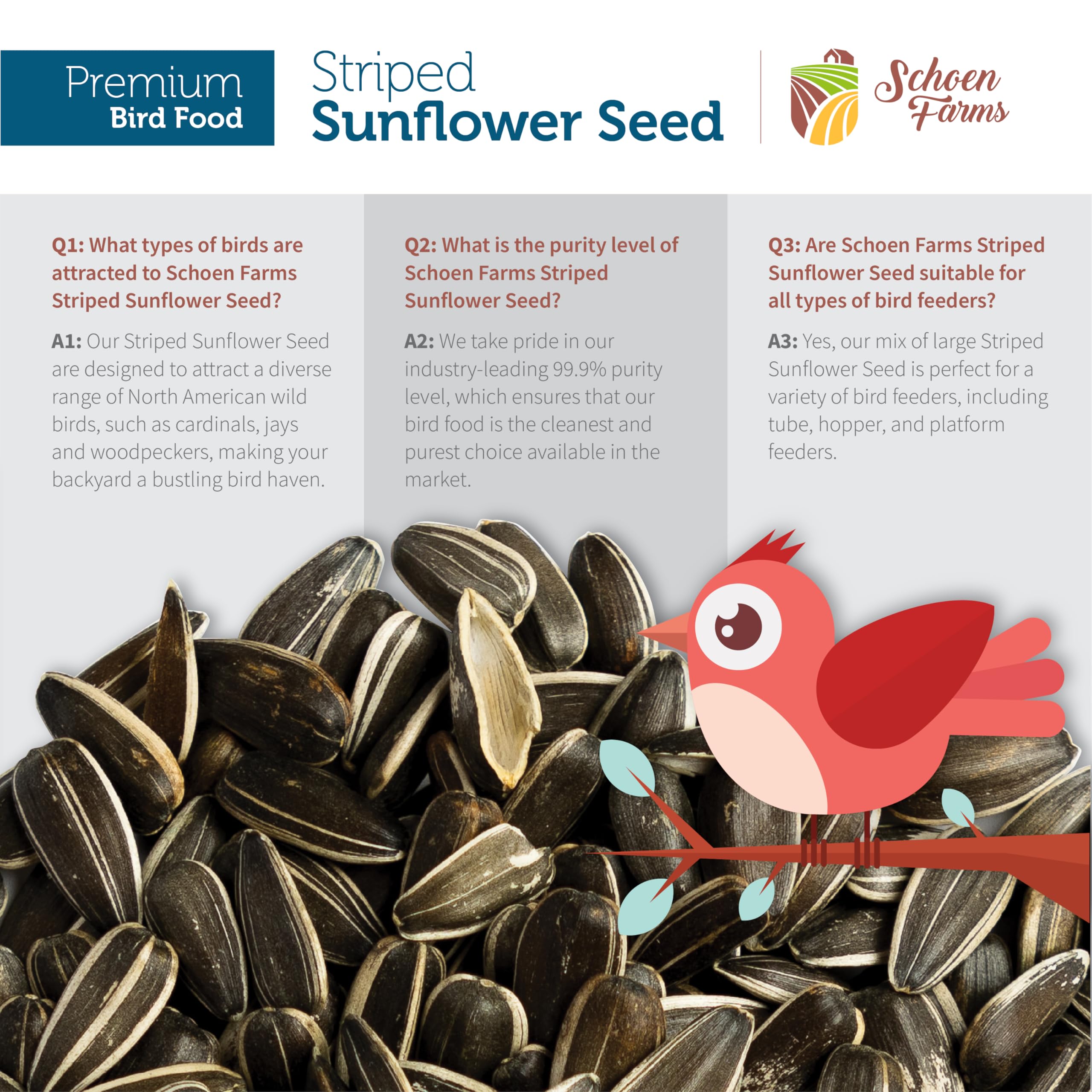 Schoen Farms Canada-grown sunflower seeds highlight farm-to-feeder quality