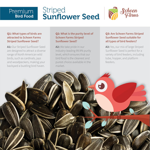 Schoen Farms Canada-grown sunflower seeds highlight farm-to-feeder quality