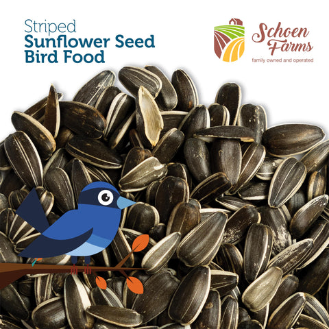 Schoen Farms natural bird food with no fillers for straightforward feeding