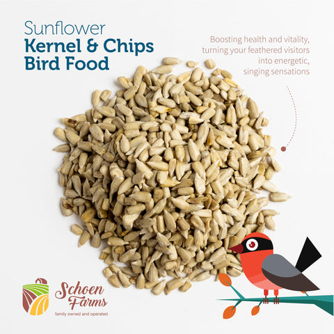 Schoen Farms no-shell kernels highlight mess-free patio feeding with birds nearby.