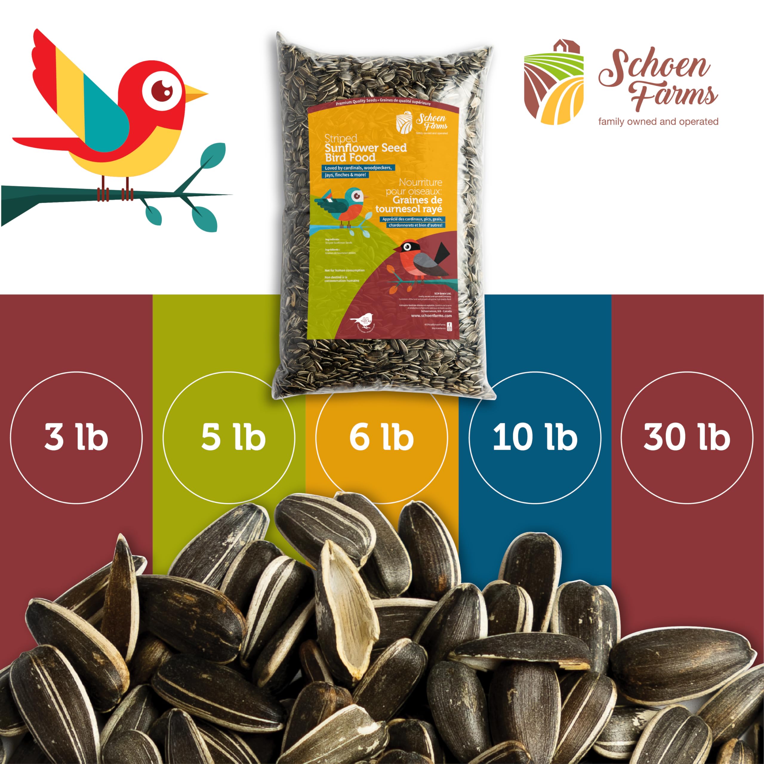Schoen Farms patio-friendly seed reducing ground scatter around the feeder