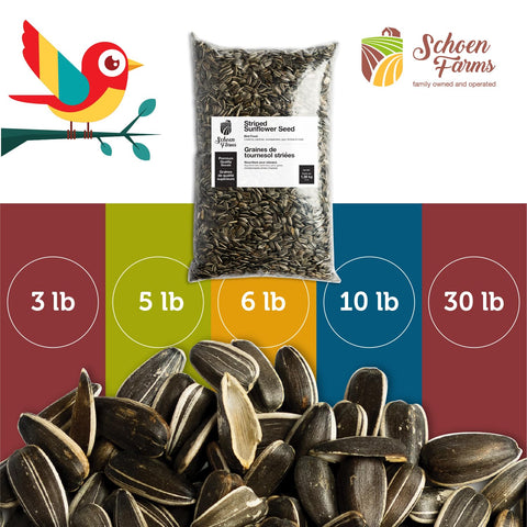 Schoen Farms Canadian-grown seeds offer natural nutrition with no additives.