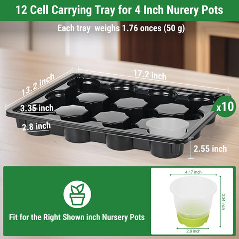 Sckee tray edge with drainage holes highlighting proper watering and air circulation.