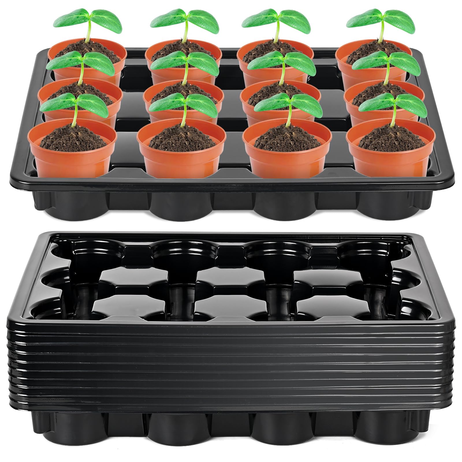 Sckee 12-cell round nursery pot tray top view showing organized seedling transport.