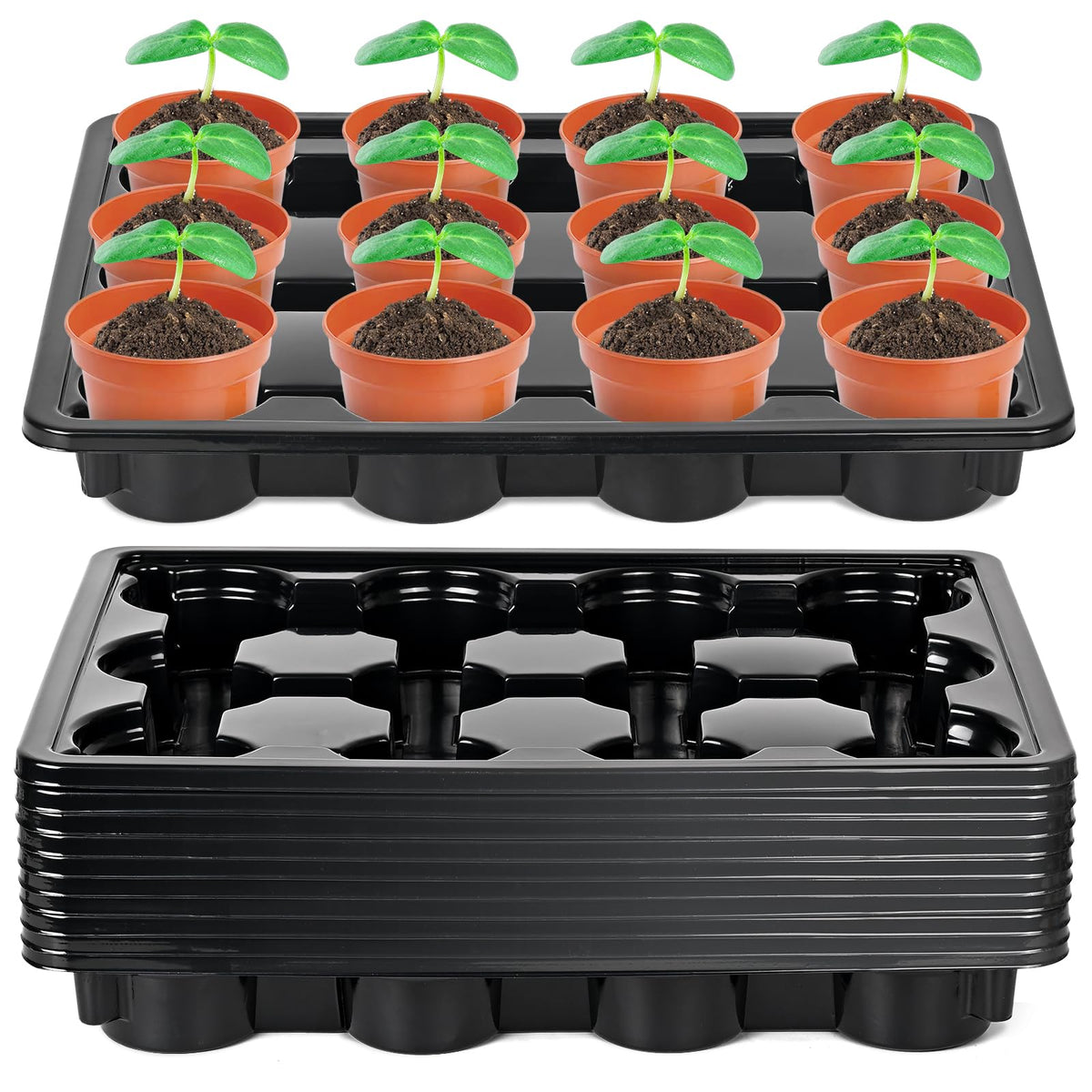 Sckee 12-cell round nursery pot tray top view showing organized seedling transport.