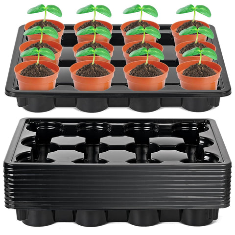 Sckee 12-cell round nursery pot tray top view showing organized seedling transport.