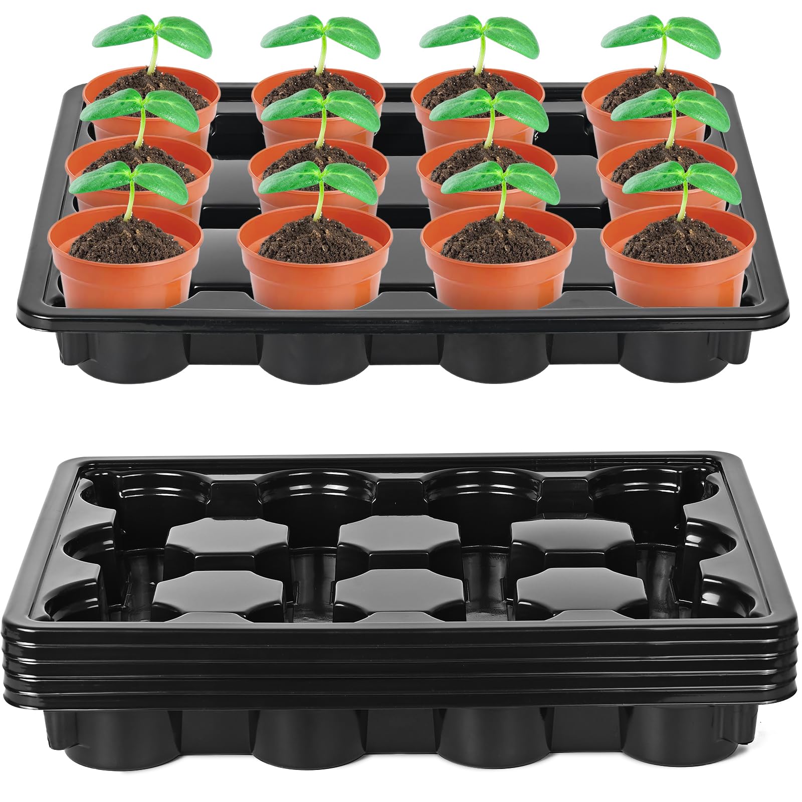 Sckee 12-cell tray supports 4-inch pots for stable transport.