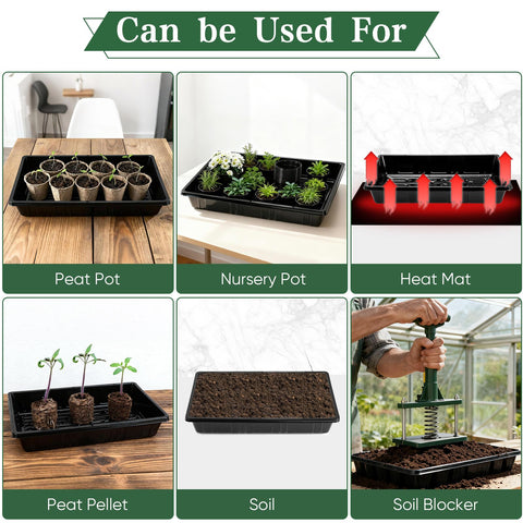 Sckee 14.5 by 9.1 by 2.3 inch tray size provides generous growing space