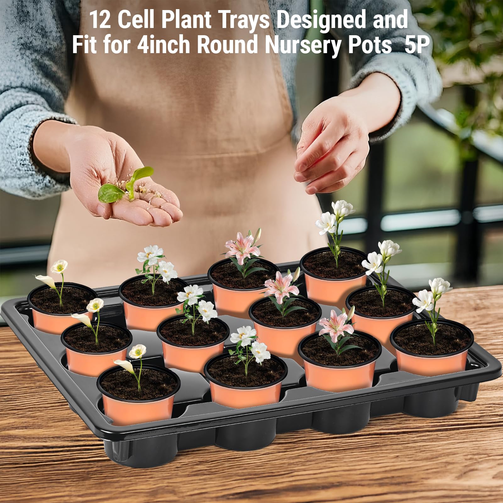 Sckee 5-pack and 10-pack tray set for gardening versatility.
