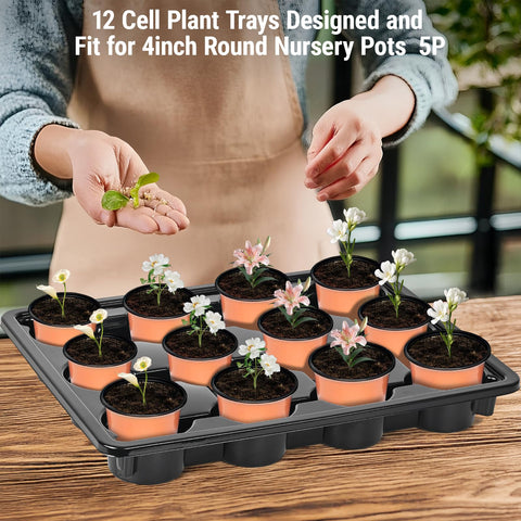 Sckee 5-pack and 10-pack tray set for gardening versatility.