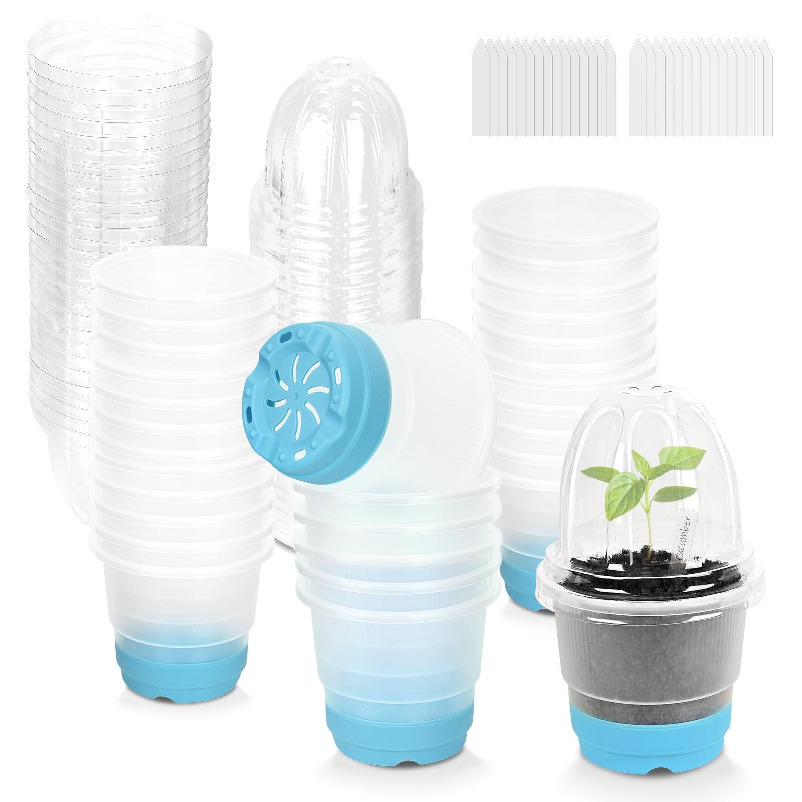 Sckee clear nursery pots reveal soil moisture and root growth for precise watering.