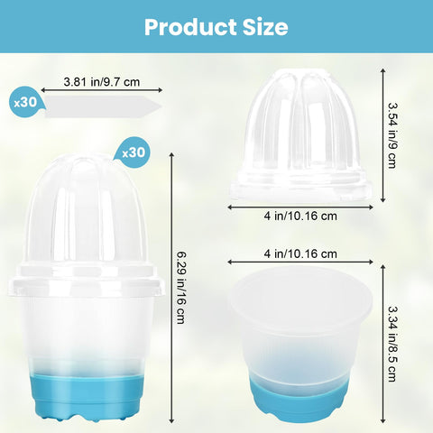 Sckee clear pots with lids help keep seedlings organized during starting.